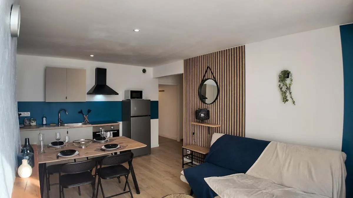 Elegant Appartement T3 - 2 Chambres - Netflix - Terrasse Castres